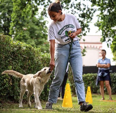 Entraînement d'un chiot blanc à l'extérieur, photo d'illustration